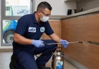 شركة مكافحة الفئران بالدمام 