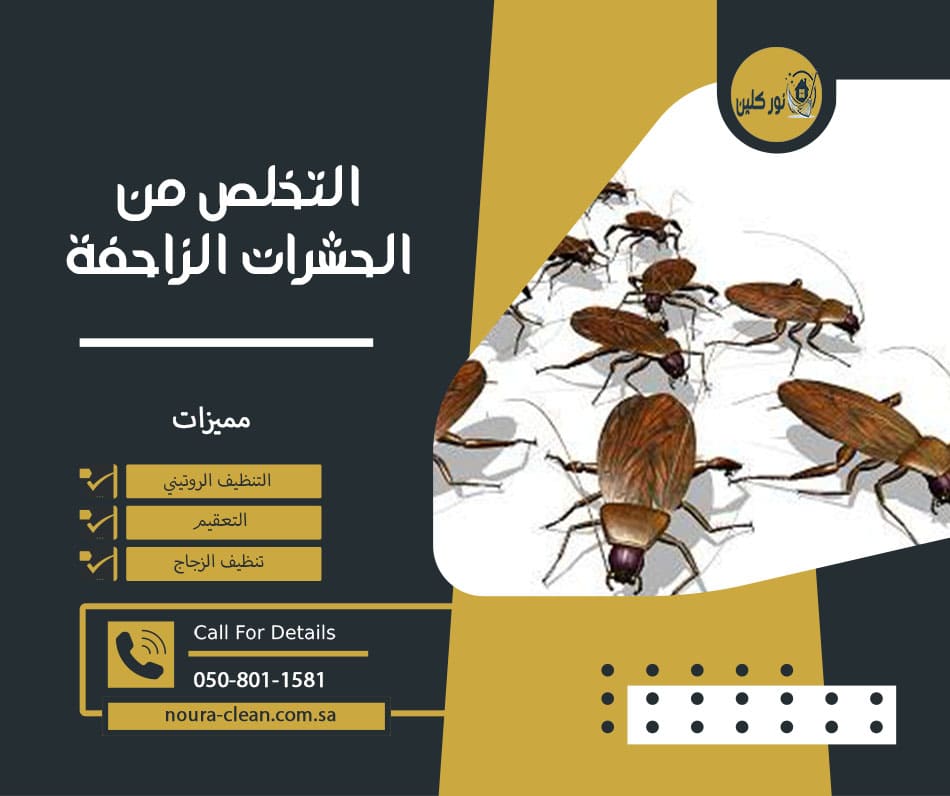 التخلص من الحشرات الزاحفة