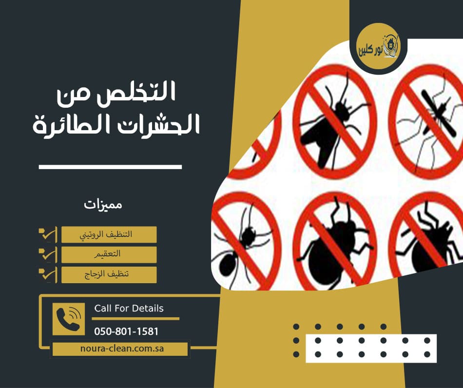 التخلص من الحشرات الطائرة