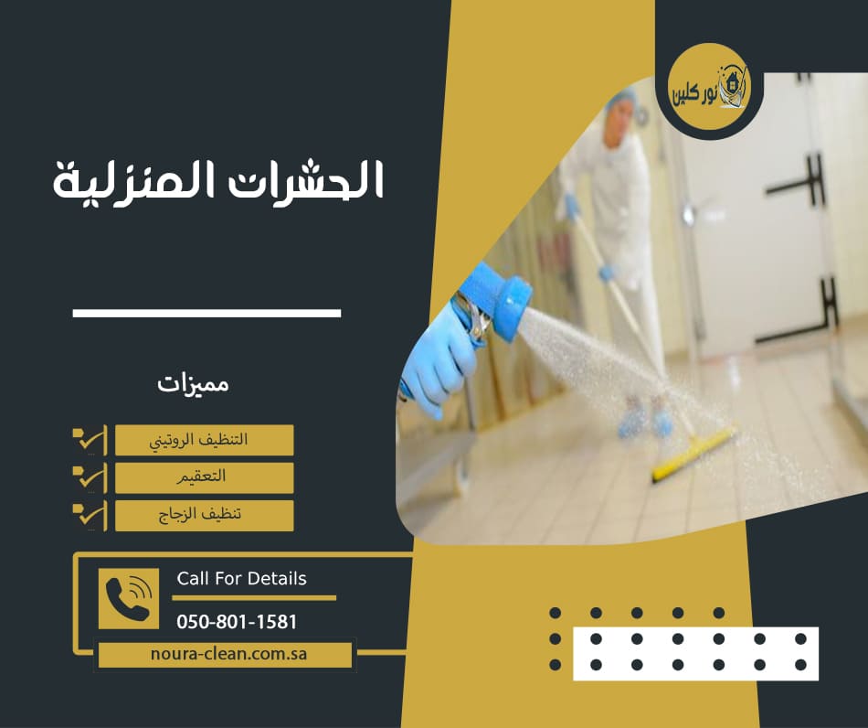 الحشرات المنزلية