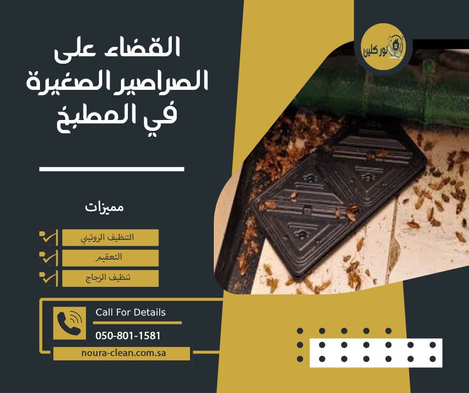 القضاء على الصراصير الصغيرة في المطبخ