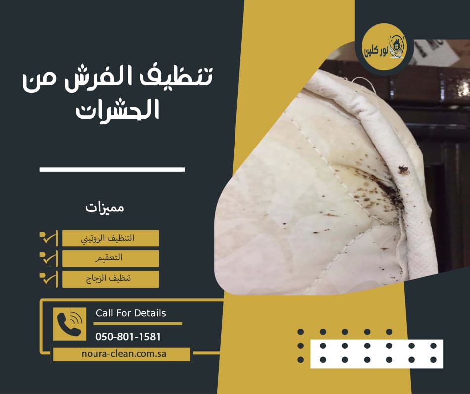 تنظيف الفرش من الحشرات