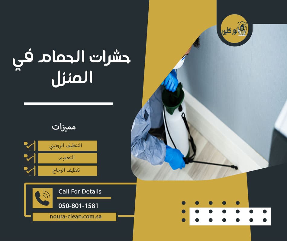 حشرات الحمام في المنزل
