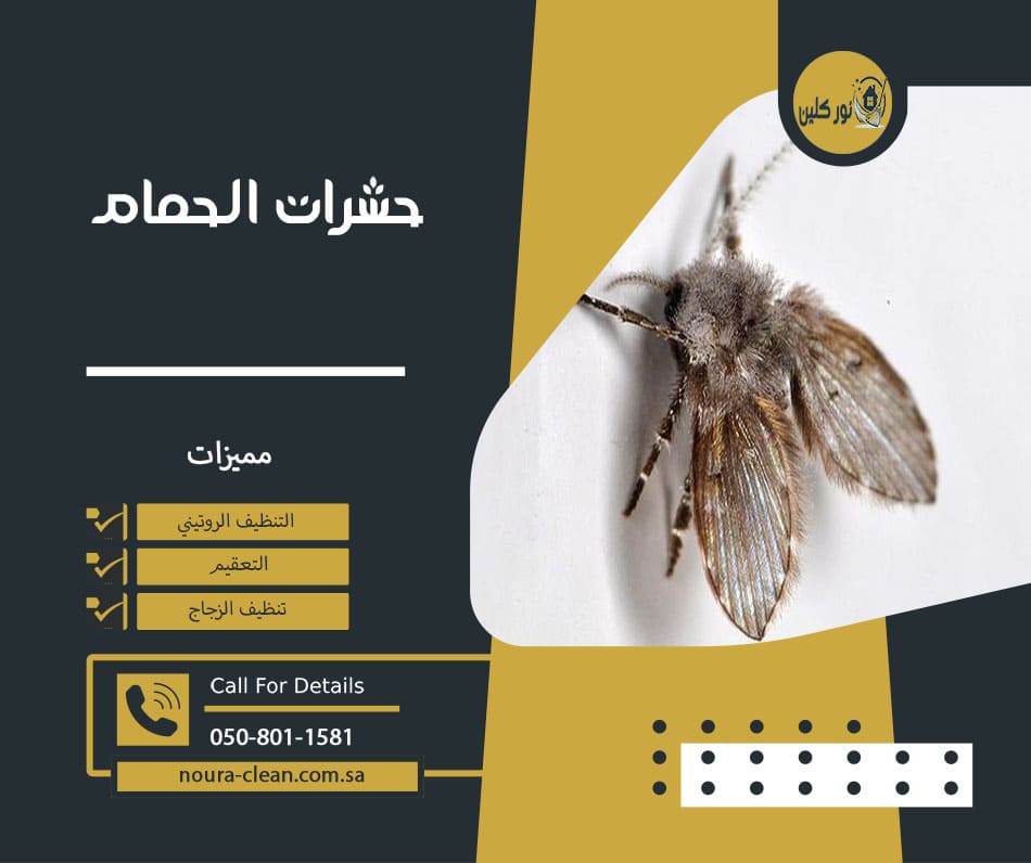 حشرات الحمام