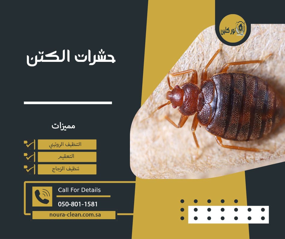 حشرات الكتن
