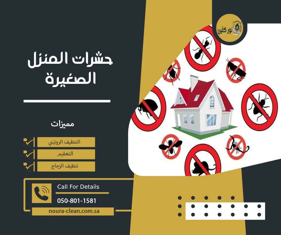 حشرات المنزل الصغيرة
