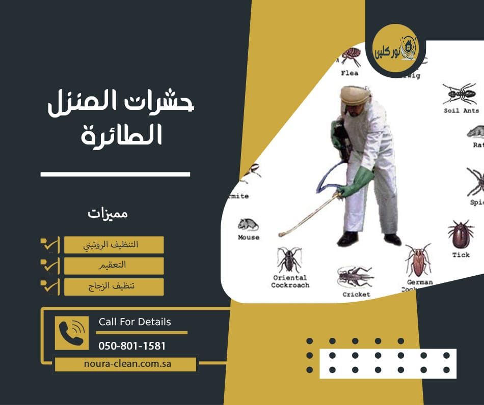 حشرات المنزل الطائرة