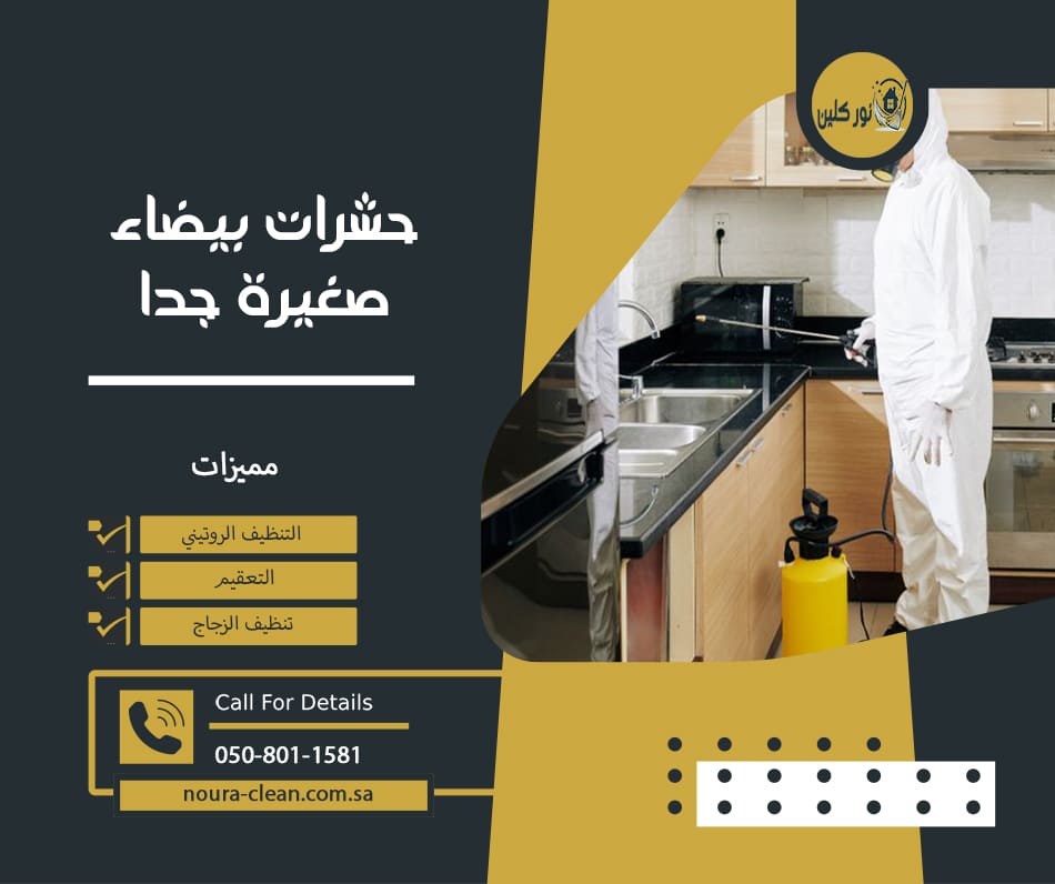 حشرات بيضاء صغيرة جدا
