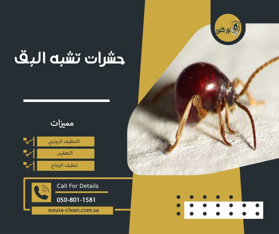 حشرات تشبه البق