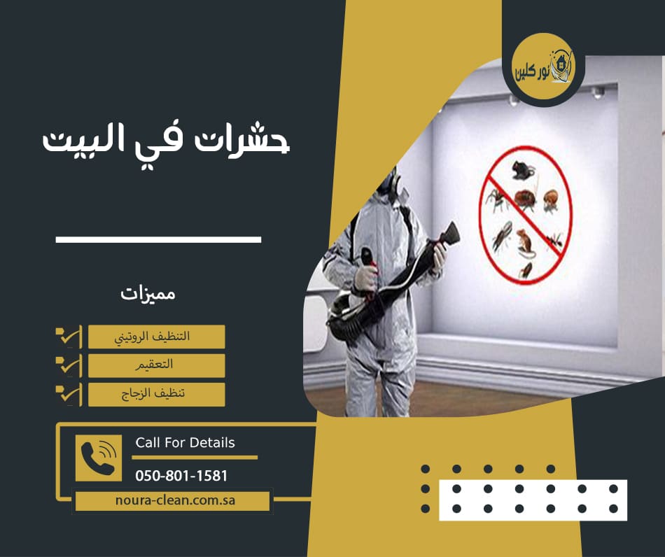 حشرات في البيت