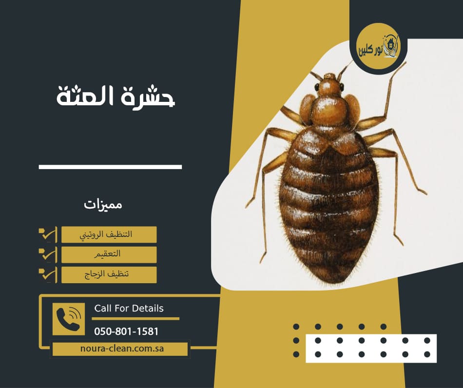 حشرة العثة