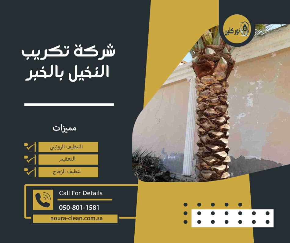 شركة تكريب النخيل بالخبر