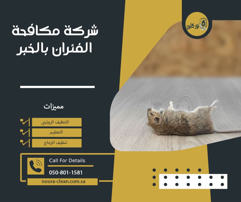 شركة مكافحة الفئران بالخبر