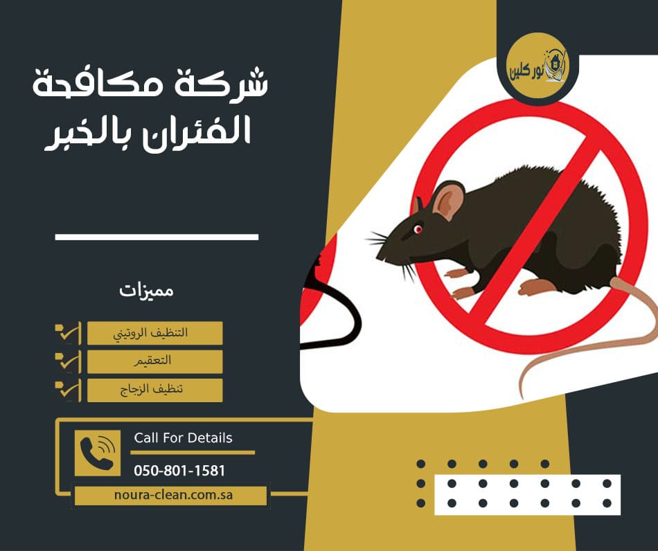 شركة مكافحة الفئران بالخبر