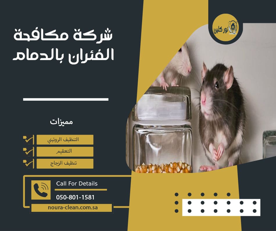شركة مكافحة الفئران بالدمام