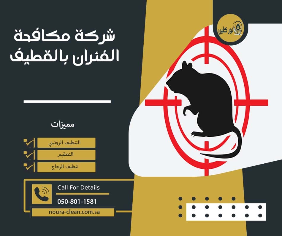 شركة مكافحة الفئران بالقطيف