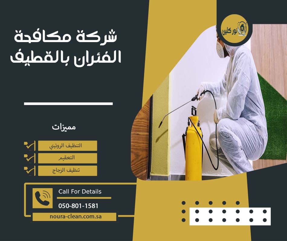 شركة مكافحة الفئران بالقطيف
