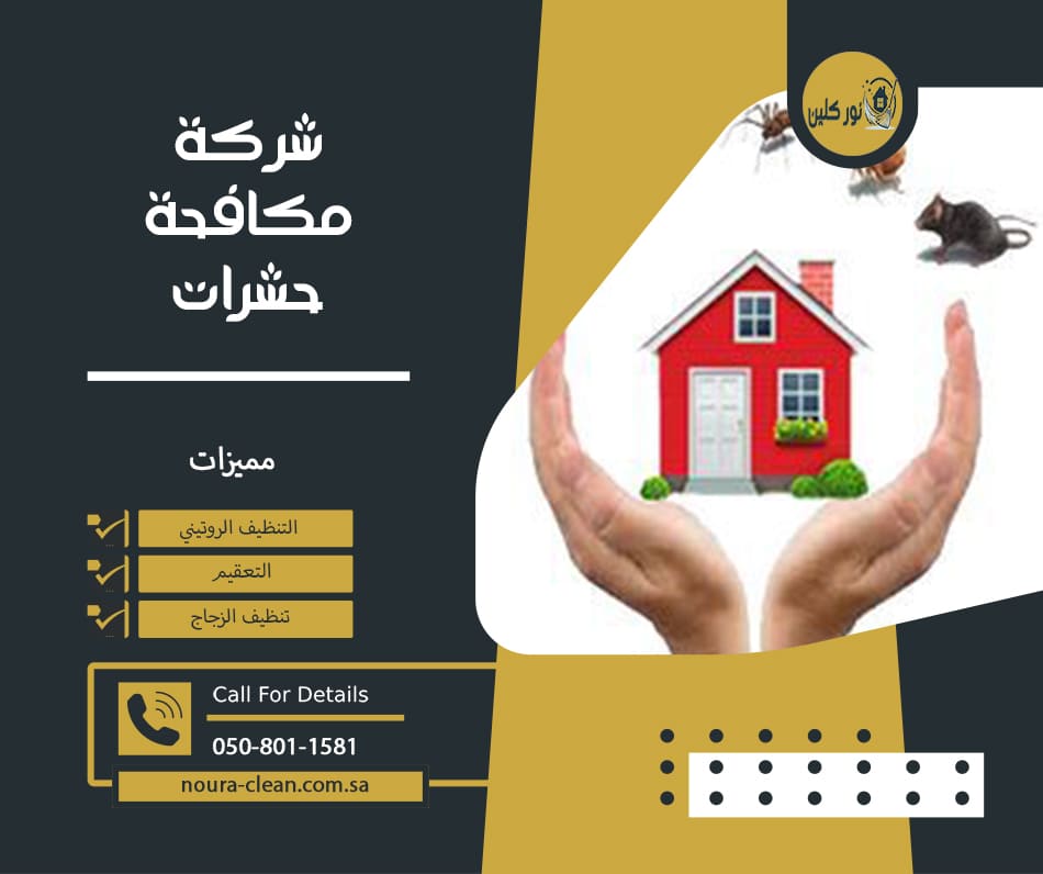 شركة مكافحة حشرات بالهفوف