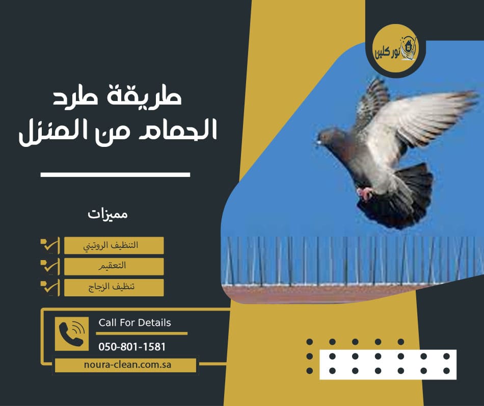 طريقة طرد الحمام من المنزل