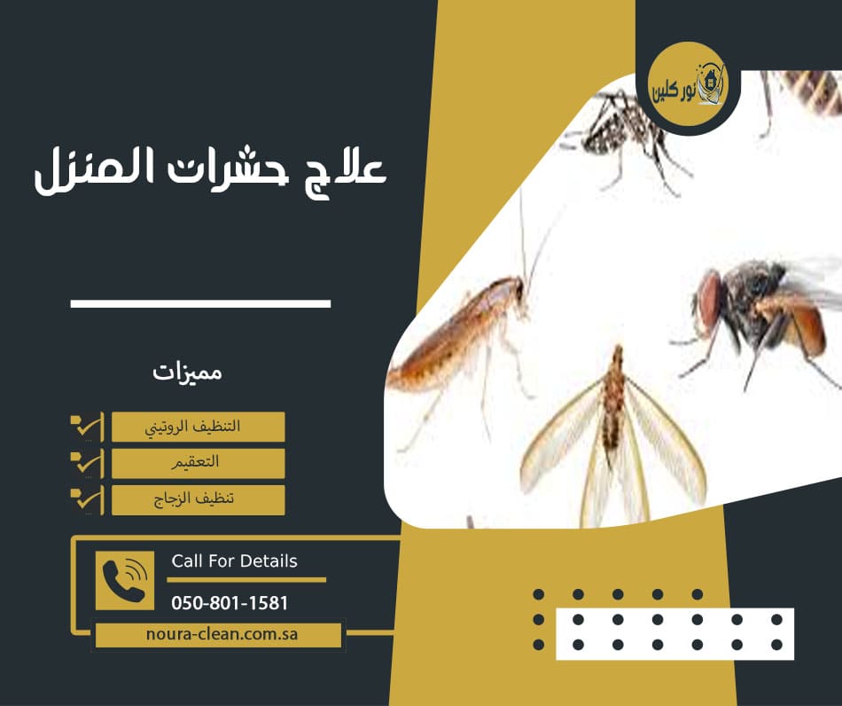 علاج حشرات المنزل