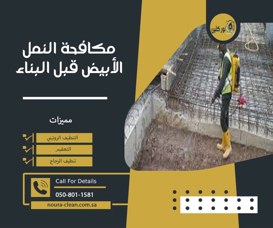 مكافحة النمل الأبيض قبل البناء