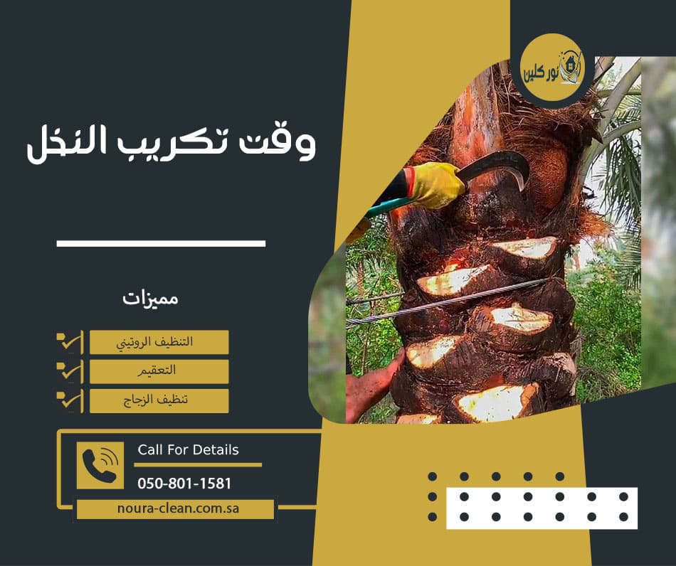 وقت تكريب النخل
